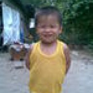 cuongletan