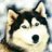 x_wolfs25