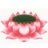 mucelago